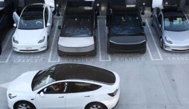 Hawaii auto dealers brace for steep tariffs' impacts on sales | Business