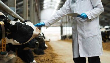 Cattle Healthcare Market Size to Surpass USD 12.52 Billion by 2033: Key Trends & Forecast