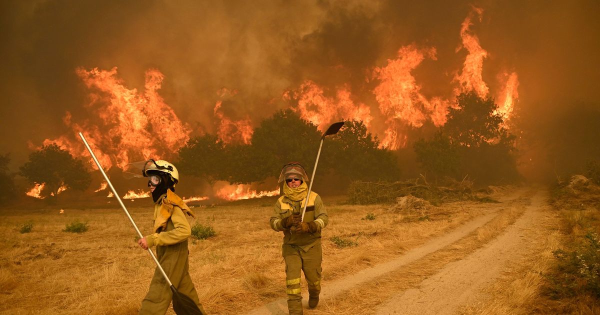 Portugal follows Spain and requests firefighting help from EU nations
