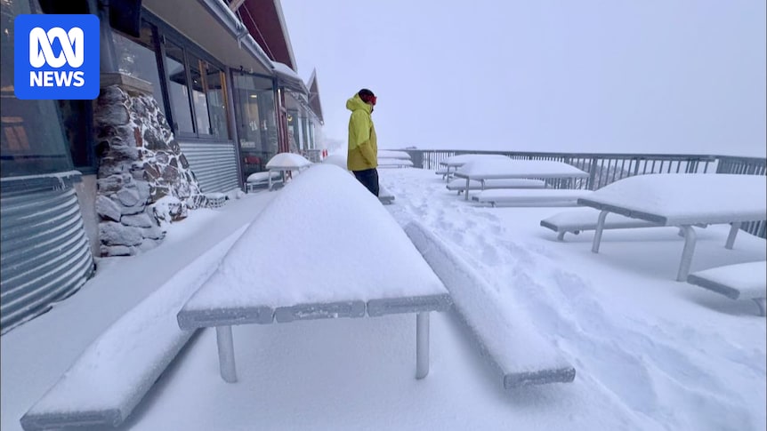 Snow within 35km of five Australian capitals as Antarctic blast arrives