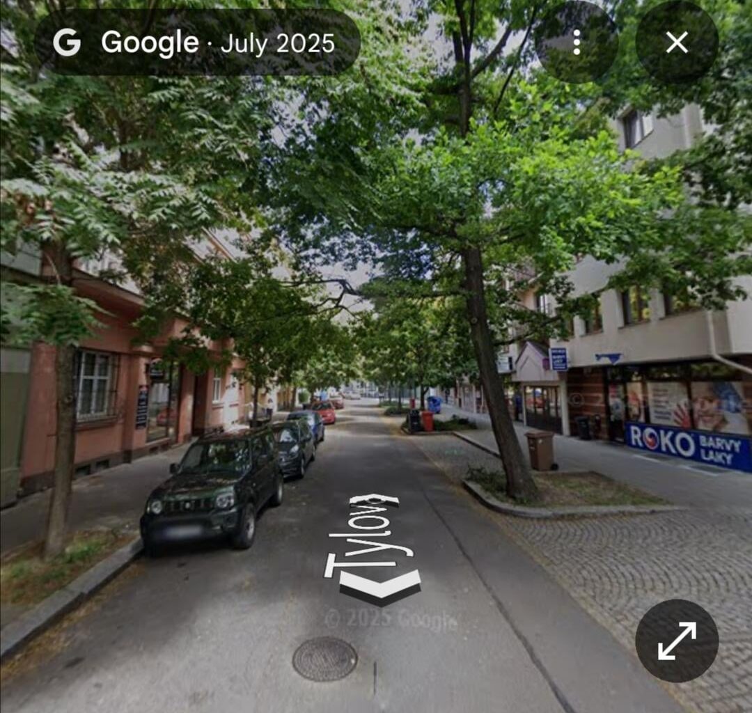 Proč nemůže každá ulice vypadat takhle? Kdo/co to blokuje? Komu vadí stromy?