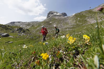 Zwei Wanderer gehen durch die blühende Landschaft im Großen Walsertal in Vorarlberg.