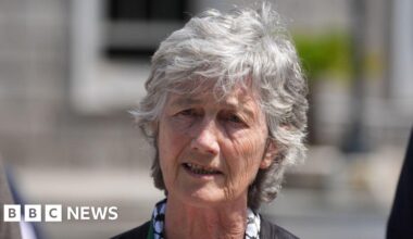 Connolly would use voice in 'every way possible' for united Ireland