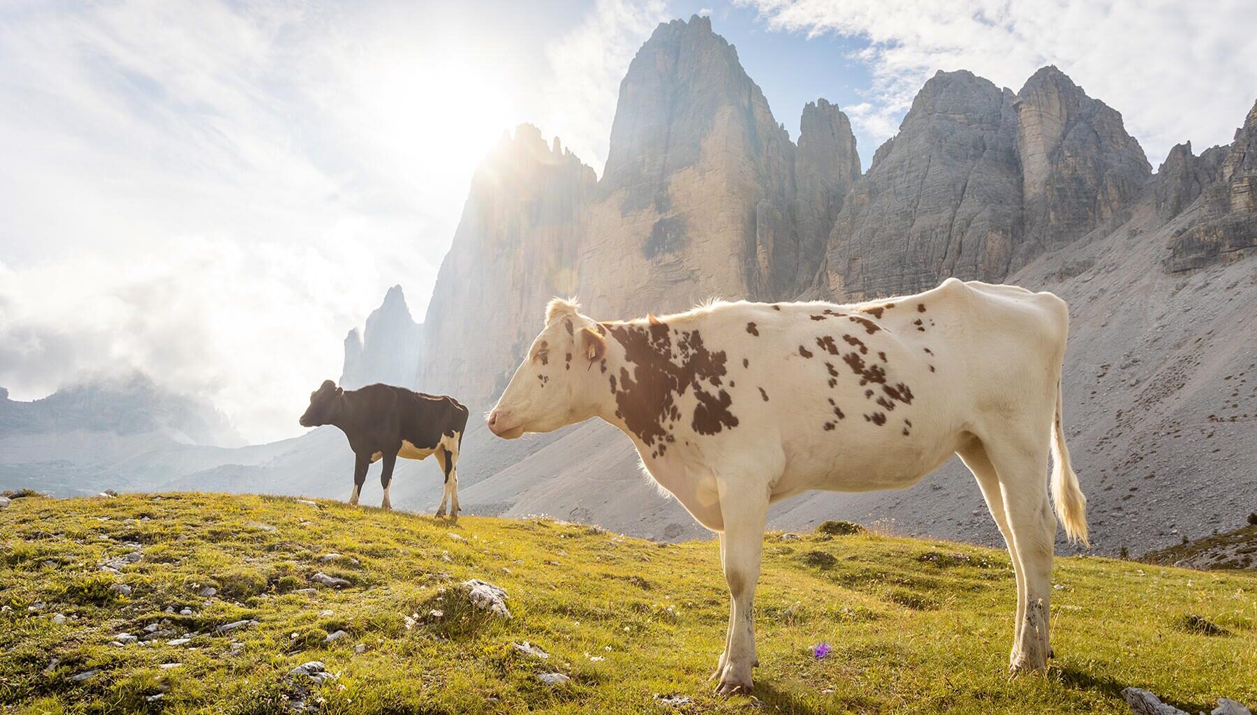 Italian Farmers Are Charging Tourists to Walk TikTok-Famous Trail