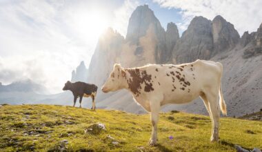 Italian Farmers Are Charging Tourists to Walk TikTok-Famous Trail