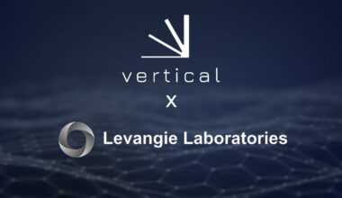 Vertical AI