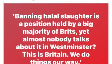 Are Halal Butchers prevalent in rural areas