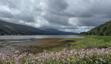 Loch Fyne