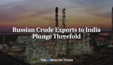 Russian Crude Exports to India Plunge Threefold - The Moscow Times