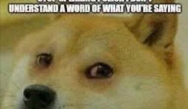 Rel