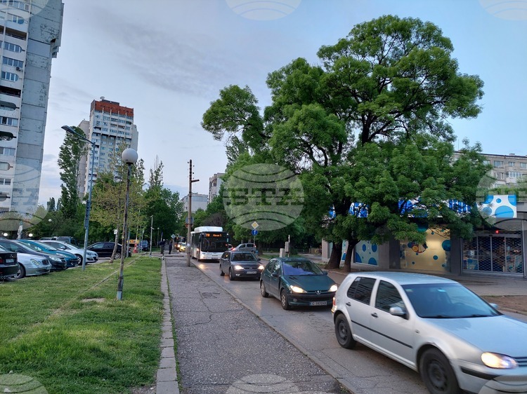 Земетресение с епицентър в Турция е усетено в почти цяла България, съобщиха от Националния институт по геофизика, геодезия и география към БАН