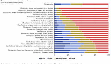 Queued horizontal bar chart showing sectoral analysis of employment by enterprise size class in manufacturing for the year 2022. Totalling one hundred percent, each manufacturing sector has four queues representing micro, small, medium sized and large enterprises as percentage share of sectoral employment.