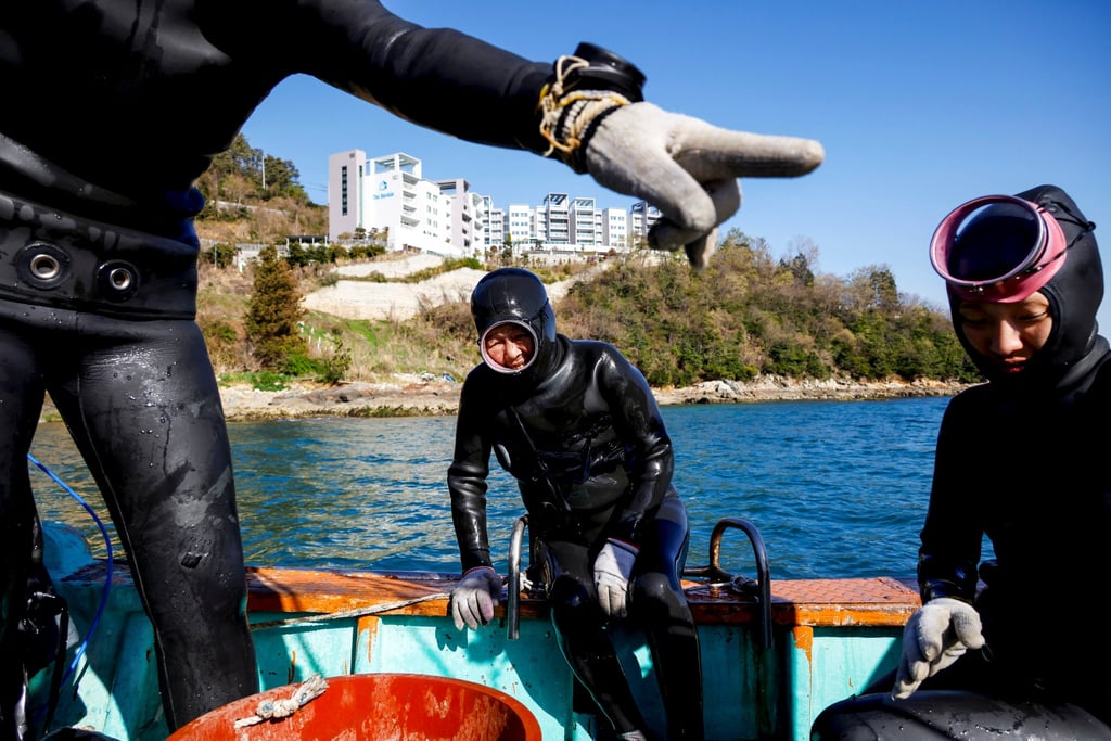 The number of haenyeo across South Korea is dropping as many are getting too old to dive. Photo: Reuters The number of haenyeo across South Korea is dropping as many are getting too old to dive. Photo: Reuters