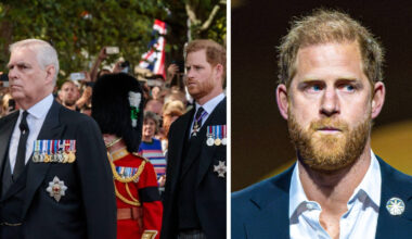 Prince Harry denies 'punches thrown' in 2013 fight with Prince Andrew and 'sends legal...