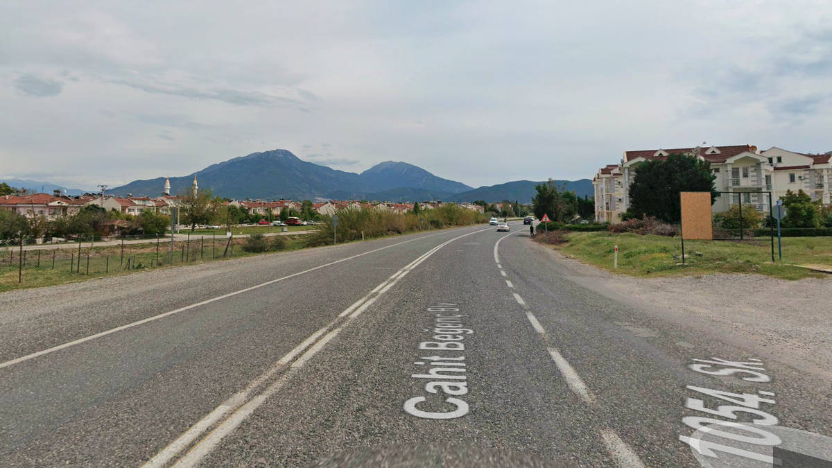British woman, 61, dies in Turkey after being run over twice by 'drunk driver'