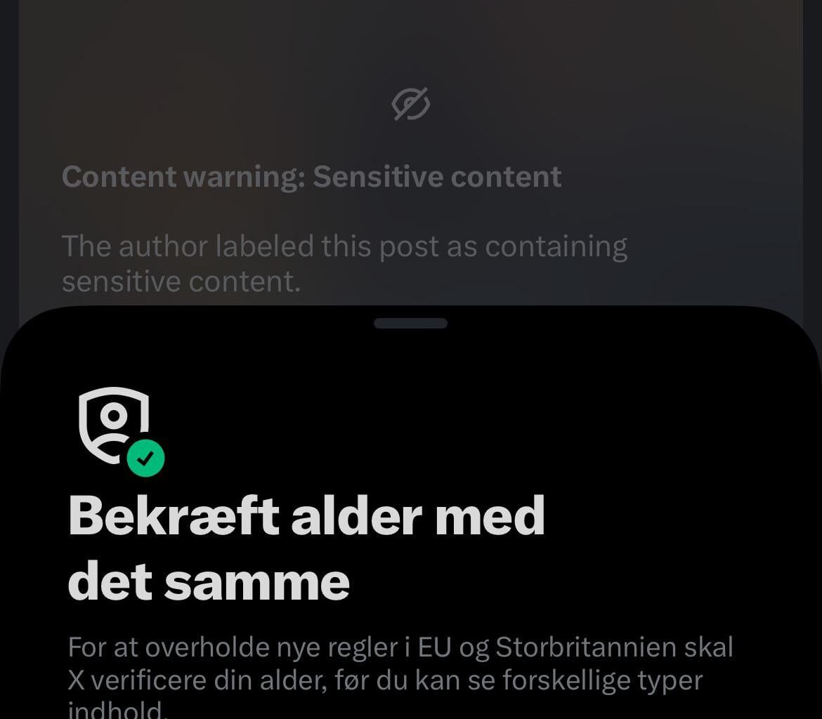 This happened on the first day of “Child protection act”. EU now wants you to verify your identity to view an American burning a book. I was able to see this just yesterday.