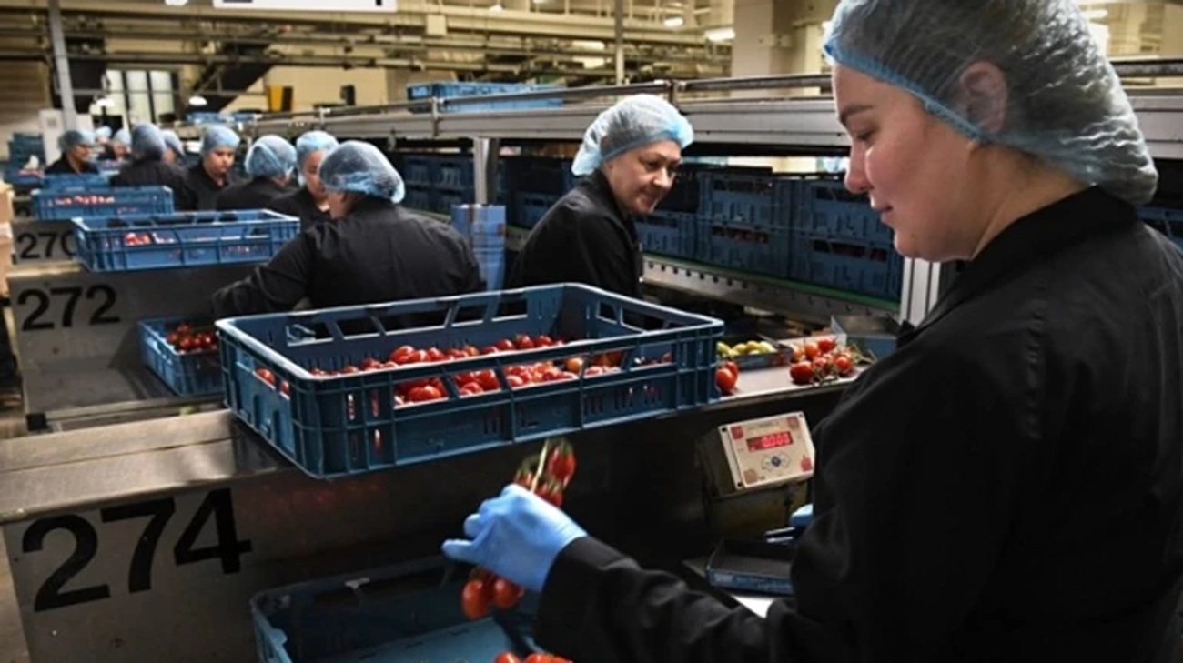 Over one-third of Ukrainian refugees in Germany are employed
