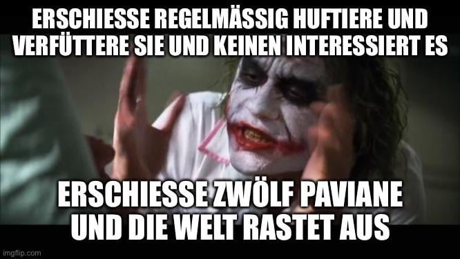 Ich🙈iel