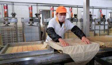 China says 'rampant' US protectionism threatens agricultural ties