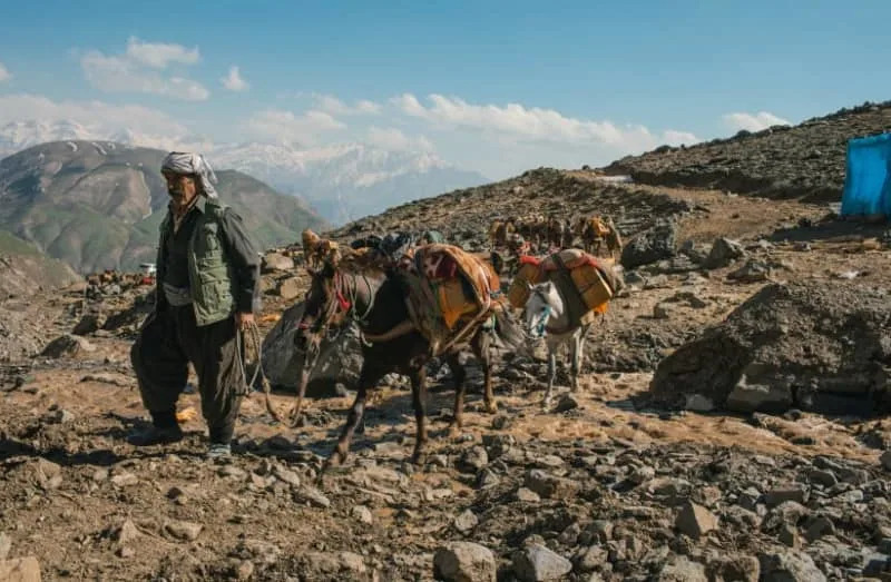 A Kurdish alcohol smuggler leads a group of horses loaded with boxes of liquor to be smuggled to Iran from the border areas of Iraqi Kurdistan on May 8, 2017; illustrative. (credit: YOUNES MOHAMMAD/Middle East Images/AFP via Getty Images)