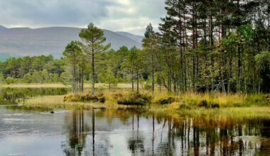 Loch Morlich by Aviemore