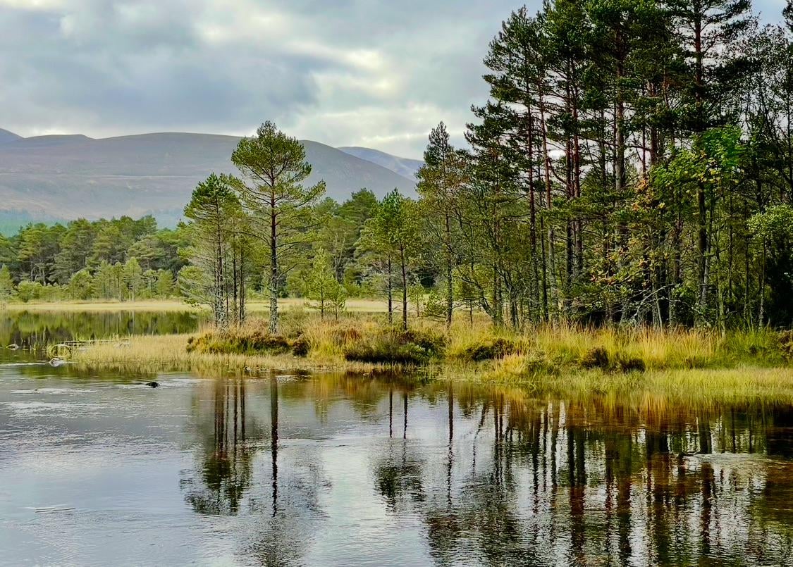 Loch Morlich by Aviemore