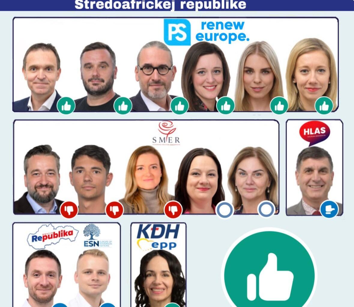 Uznesenie o svojvoľnom zatknutí a mučení výskumníka Josepha Figueiru Martina v Stredoafrickej republike