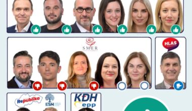Uznesenie o svojvoľnom zatknutí a mučení výskumníka Josepha Figueiru Martina v Stredoafrickej republike