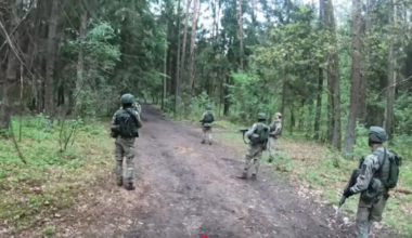 „Kirto sieną. Nevaržomai juda toliau.“ Košmaras. Įsiveržė į Lietuvą