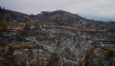 Les incendies de forêt font rage dans le sud de l'Europe en raison de températures record
