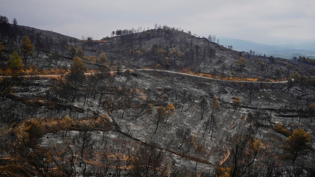 Les incendies de forêt font rage dans le sud de l'Europe en raison de températures record