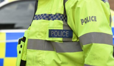 Artificial intelligence rollout for police forces to investigate grooming gangs