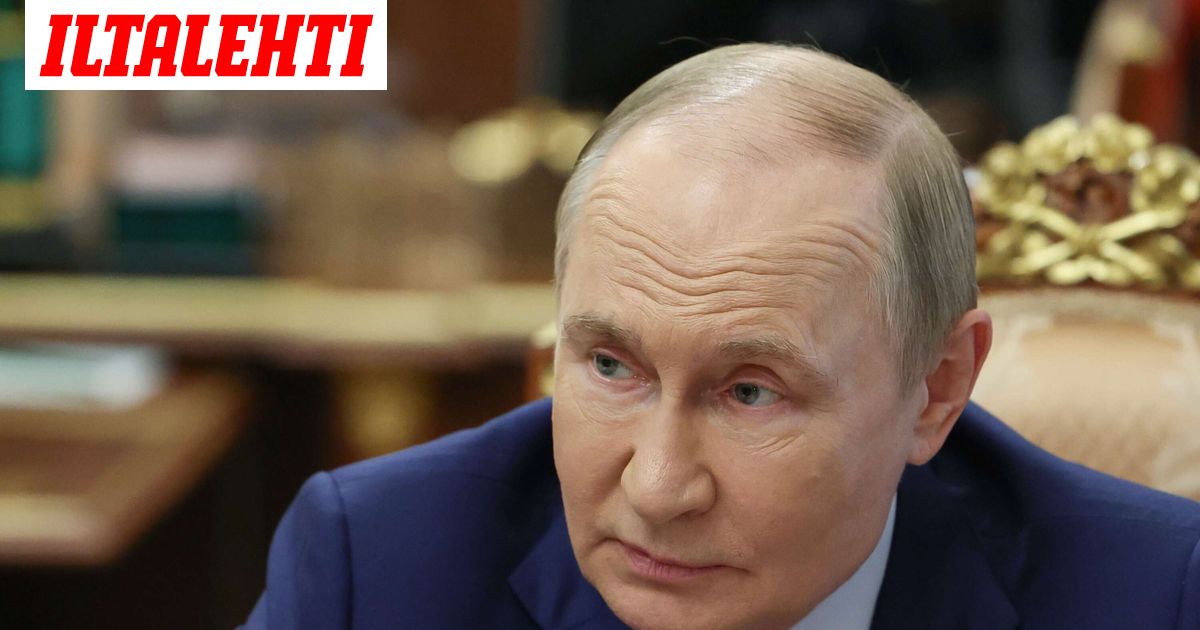 Putinin kesteistä lipsahti julki seikkaperäisiä tietoja – ”Kauniita malleja”