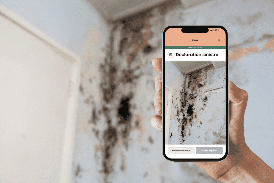 "C'est facile de frauder avec l'IA" : faux dégâts des eaux ou accident de la circulation, cette start-up invente un antidote pour les assurances