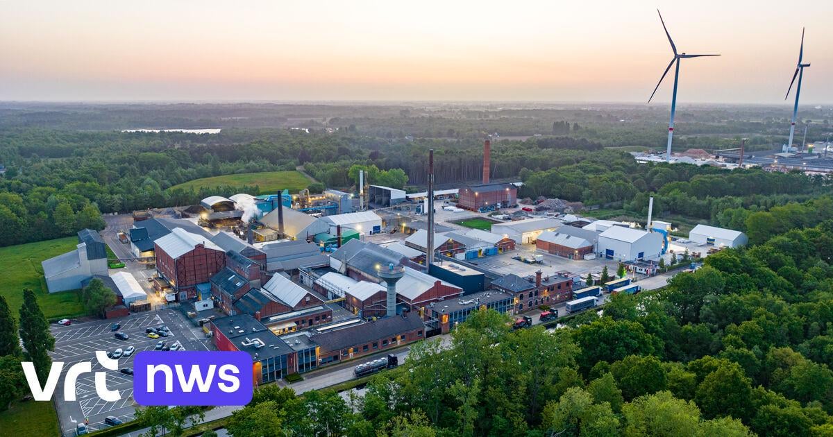 Hele wereld kijkt naar Kempens bedrijf voor export van kritische grondstof, al zijn er vragen over omzeiling sancties tegen Rusland | VRT NWS: nieuws