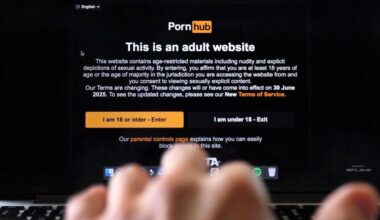 Kritiserer statens pornokontrol: 'Jeg laver ikke andet end at logge ind og ud'