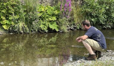 RTL Today - Swimming: All Luxembourg bathing waters safe from algae this weekend