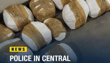 Police officers in central Poland have uncovered drugs with a black-market value of €4.7 million concealed in a dozen bags in the back of a car
