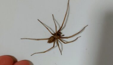 These have all visited my house over the past few days
