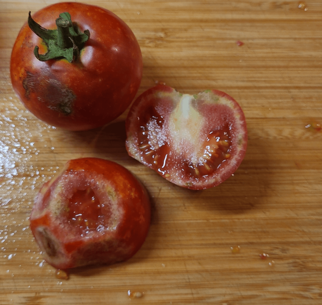 Was ist mit meinen Tomaten los?