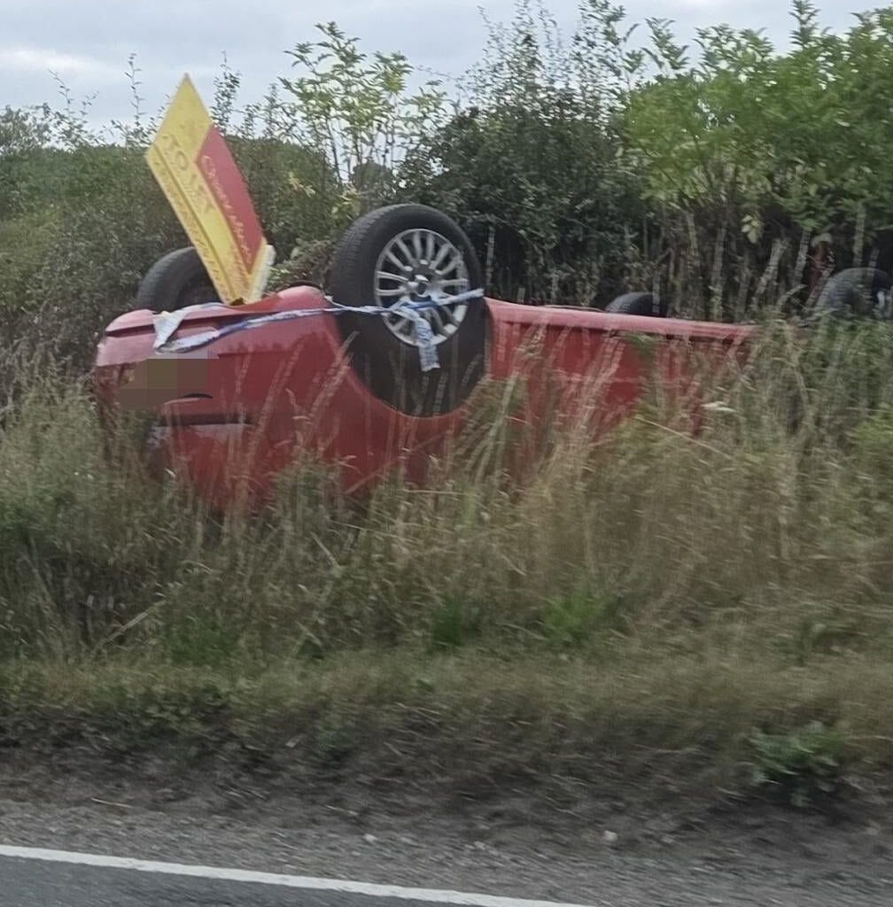 Peak British humour.