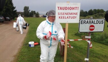 Estonia's African swine fever epidemic explained | News