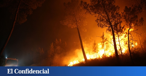 focos activos, carreteras cortadas y última hora en Galicia, Zamora y León, en directo