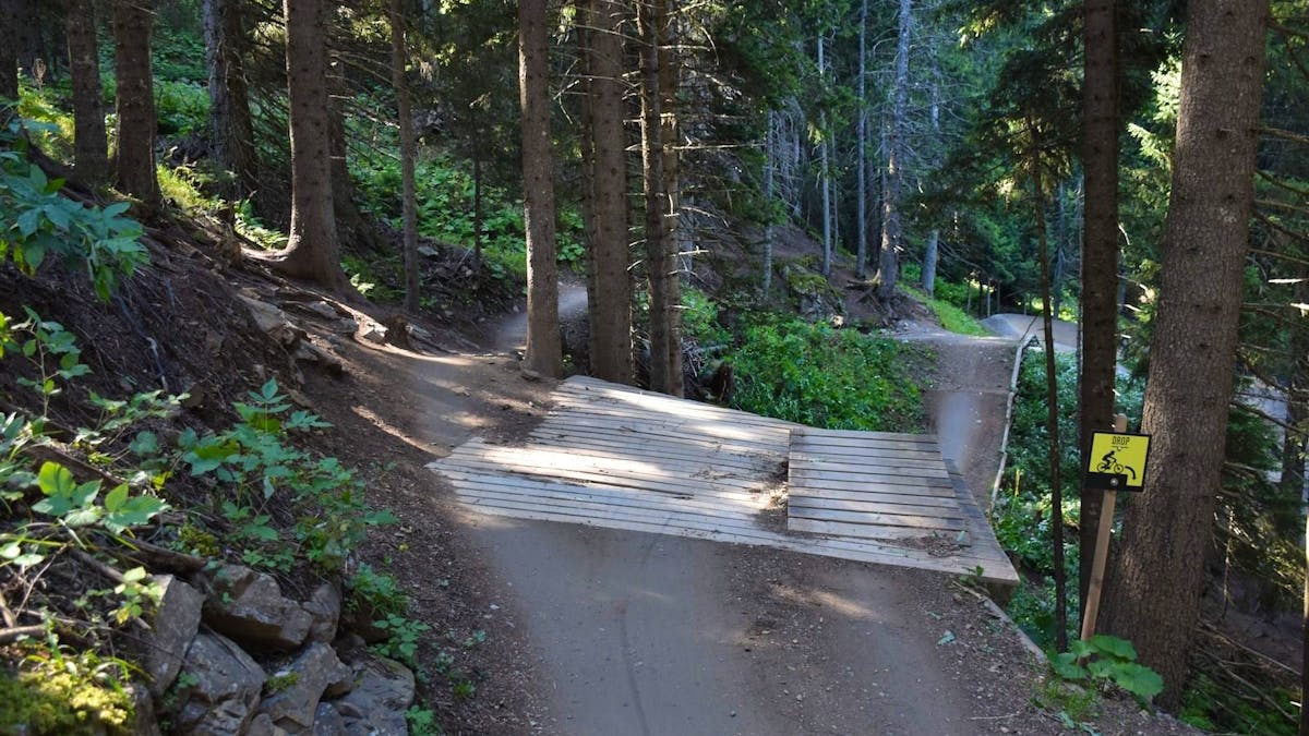 Tragischer Unfall: Mountainbiker (54) stirbt nach Sturz in Lenzerheide