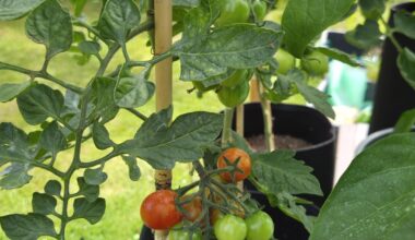 Erster Versuch, Danke für eure Tipps