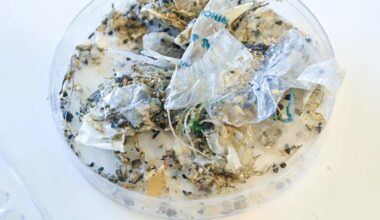 Plastic causing "disease and death from infancy to old age," report warns