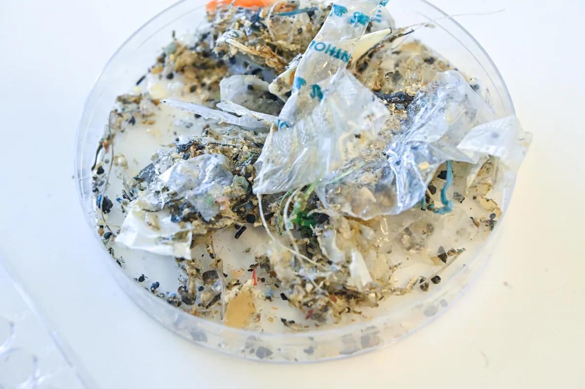 Plastic causing "disease and death from infancy to old age," report warns