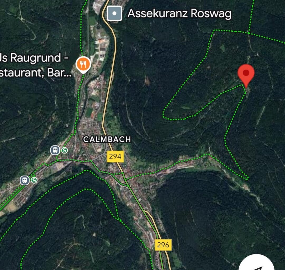 Abandoned village near Calmbach / Bad Wildbad