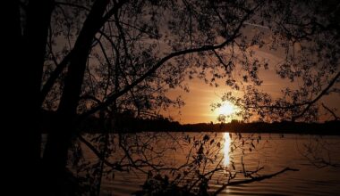 A beautiful sunset emerged at Colwick Country Park recently.
