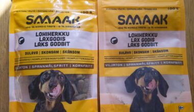 Jag blir så jävla trött på myglande företag (SMAAK hundgodis)